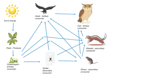 Science vocabulary - Screen 23 on FlowVella - Presentation Software for ...