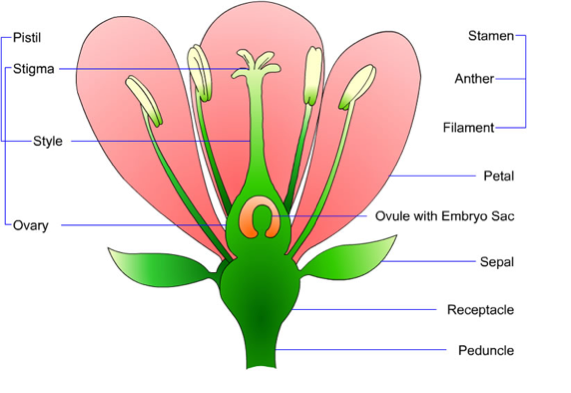 Molino Quaglia Ist (en) - Screen 19 on FlowVella - Presentation Software  for Mac iPad and iPhone