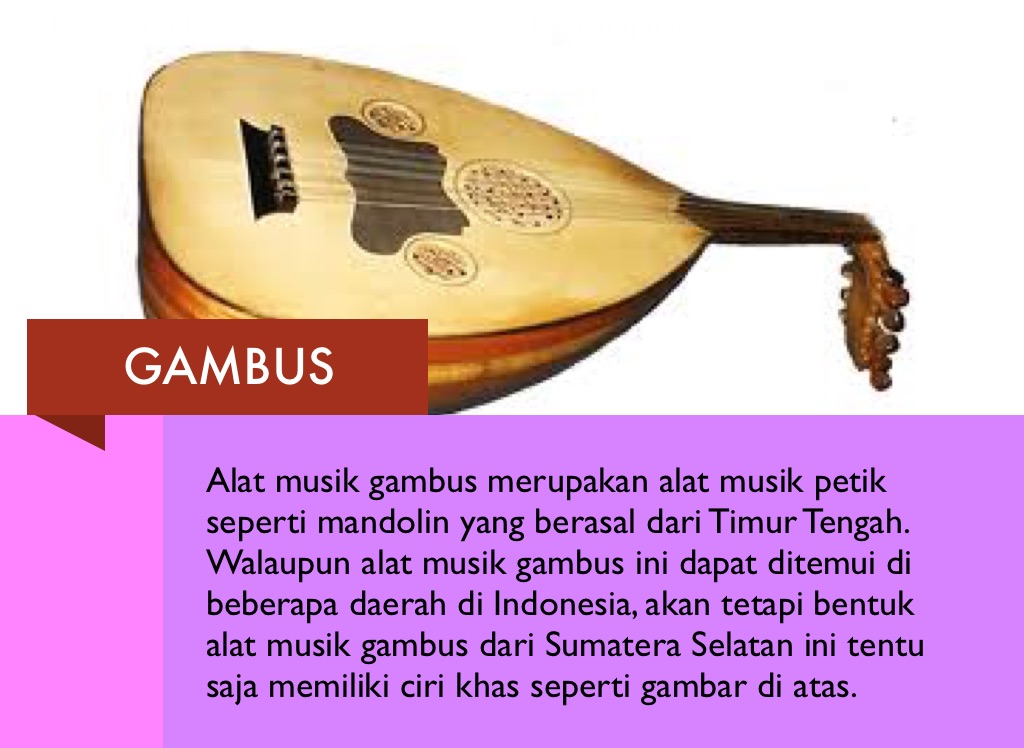 Gambus adalah alat musik tradisional yang berasal dari