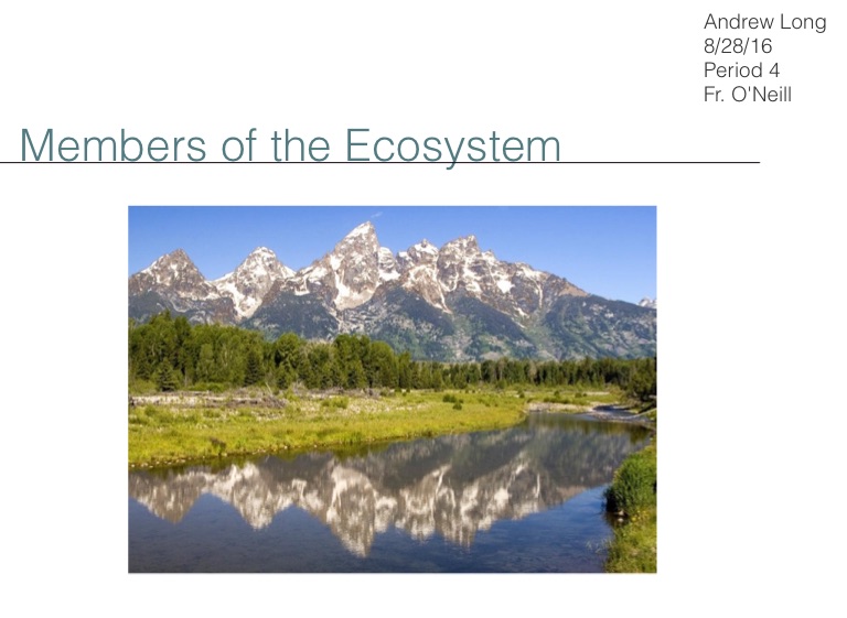 Members of the Ecosystem on FlowVella - Presentation Software for Mac ...