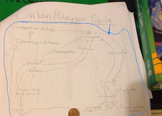 Science project by Aniket Remesh Screen 9 on FlowVella