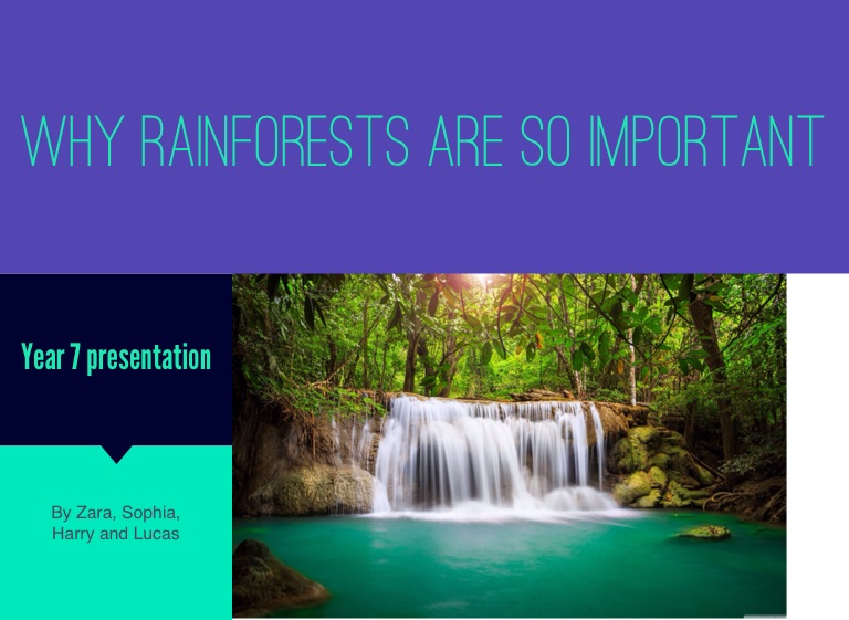 Why Rainforests Are So Important On Flowvella Presentation Software For Mac Ipad And Iphone 4726