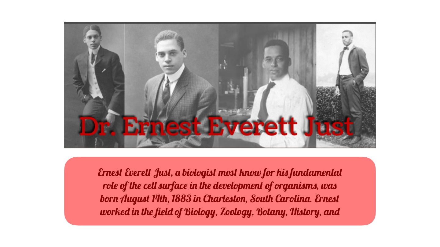 the biology of the cell surface ernest everett just