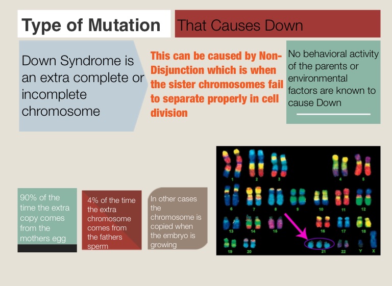 down-syndrome-screen-3-on-flowvella-presentation-software-for-mac