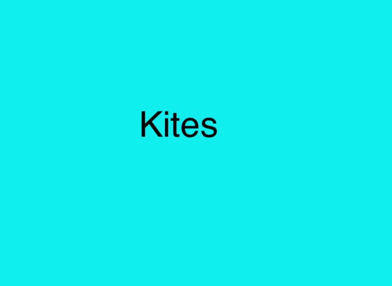 Kite for mac instal free