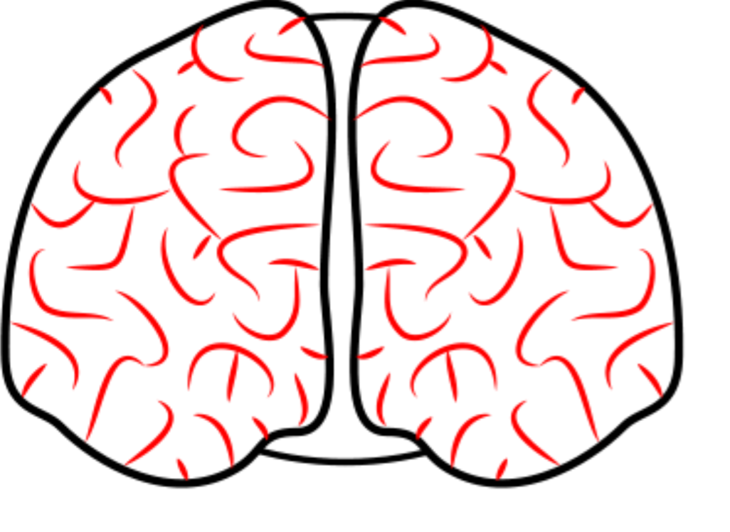 Brain 59. Поэтапное рисование мозга. Мозг рисовать. Мозг рисунок легко. Мозг рисунок пошагово.
