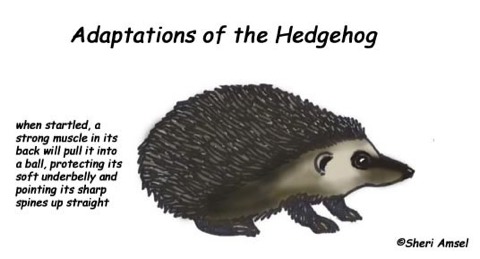 Science project by Aniket Remesh - Screen 27 on FlowVella