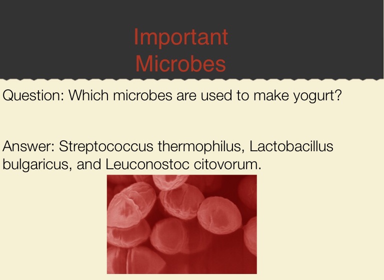 Microbes We Eat-Yogurt - Screen 4 On FlowVella - Presentation Software ...