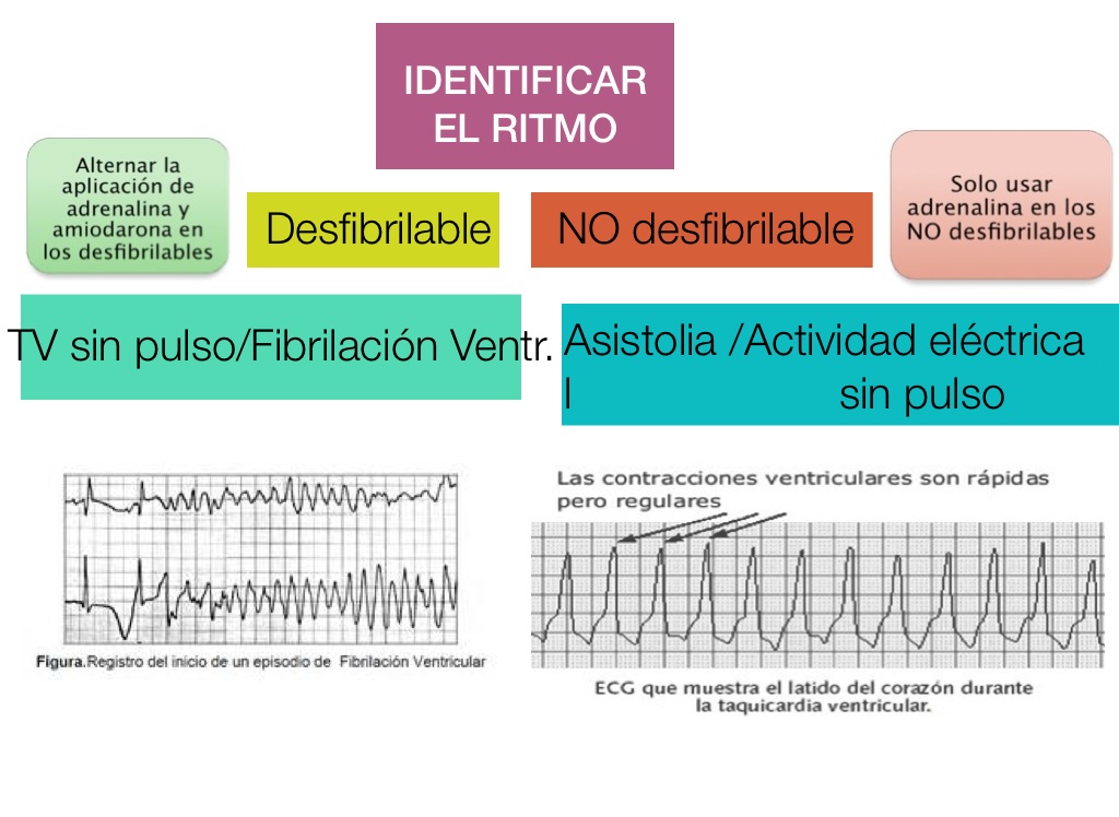 Rcp Avanzado Screen 2 On Flowvella Presentation Software For Mac Ipad And Iphone