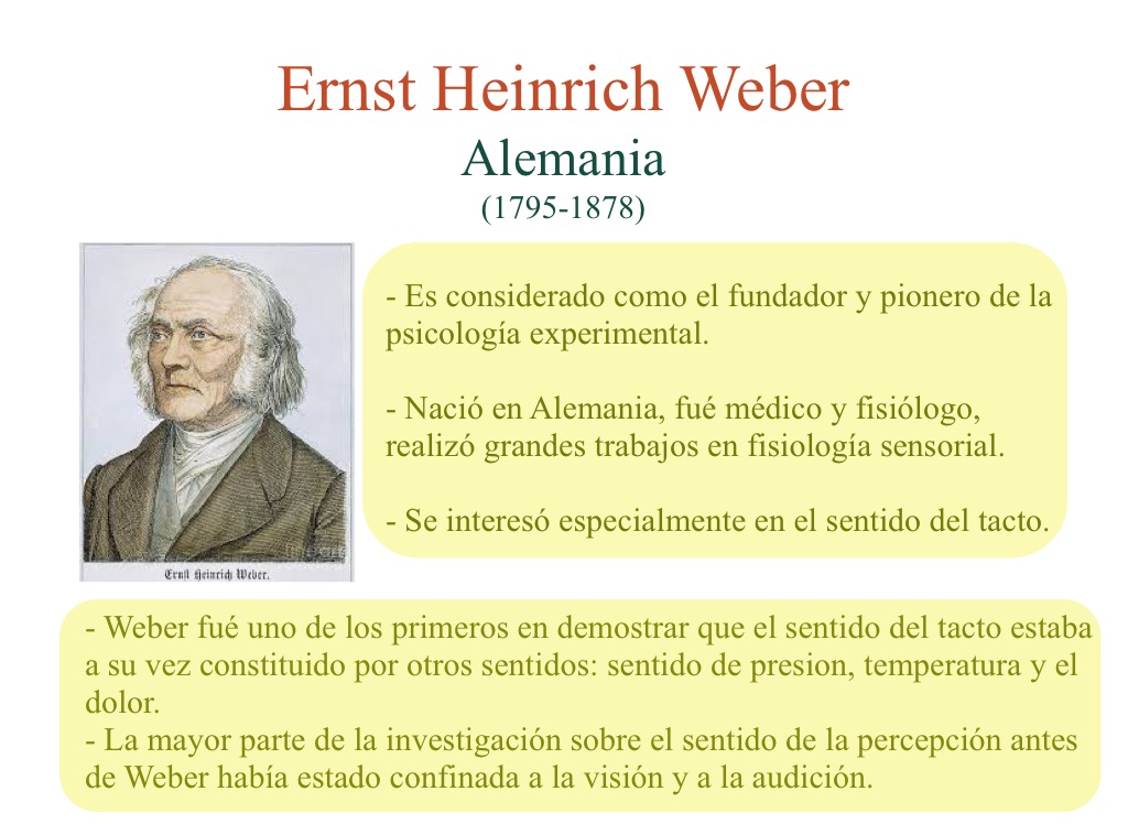 Ernst Weber