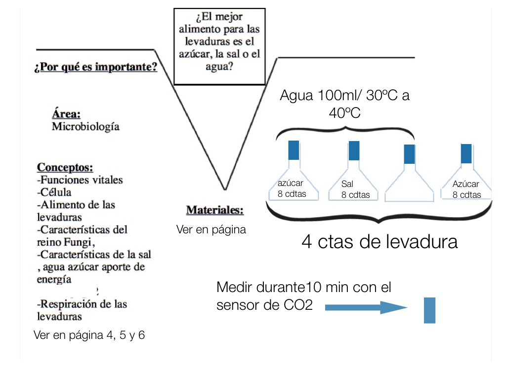 Levaduras Screen 3 On Flowvella Presentation Software For Mac Ipad And Iphone