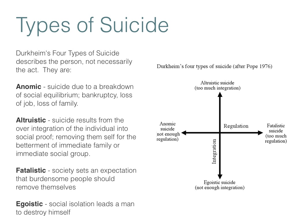 Psychology of Suicide - Screen 8 on FlowVella - Presentation ...