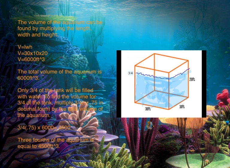 Aquarium on flowvella for mac