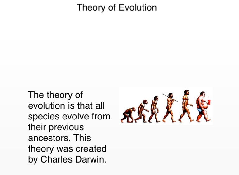 Evolutionary visual - Screen 3 on FlowVella - Presentation Software for ...