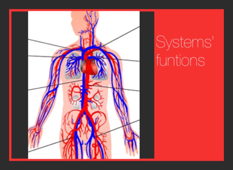 Circulatory system - Screen 2 on FlowVella - Presentation Software for