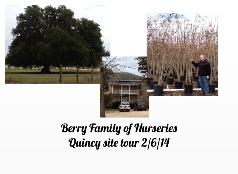Berry Family Of Nurseries Quincy 2 6 14 On Flowvella Berry Family Of Nurseries Quincy 2 6 14