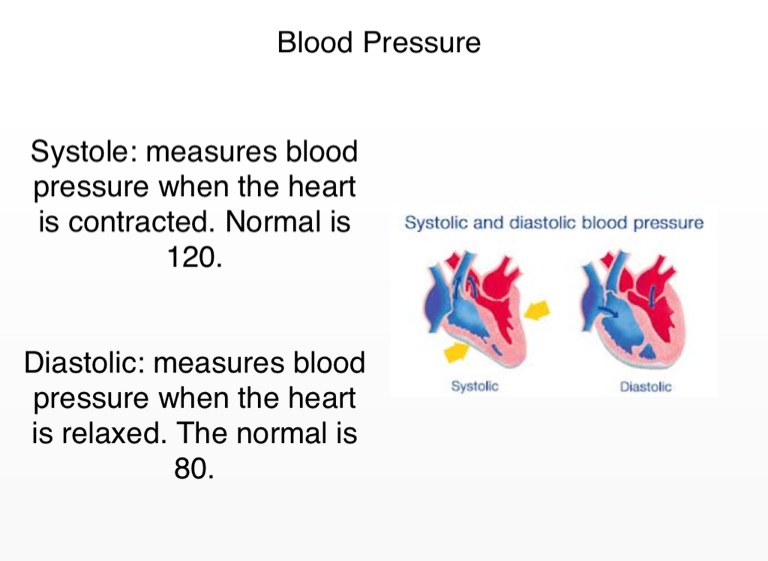 Cardiovascular System - Screen 11 on FlowVella - Presentation Software ...