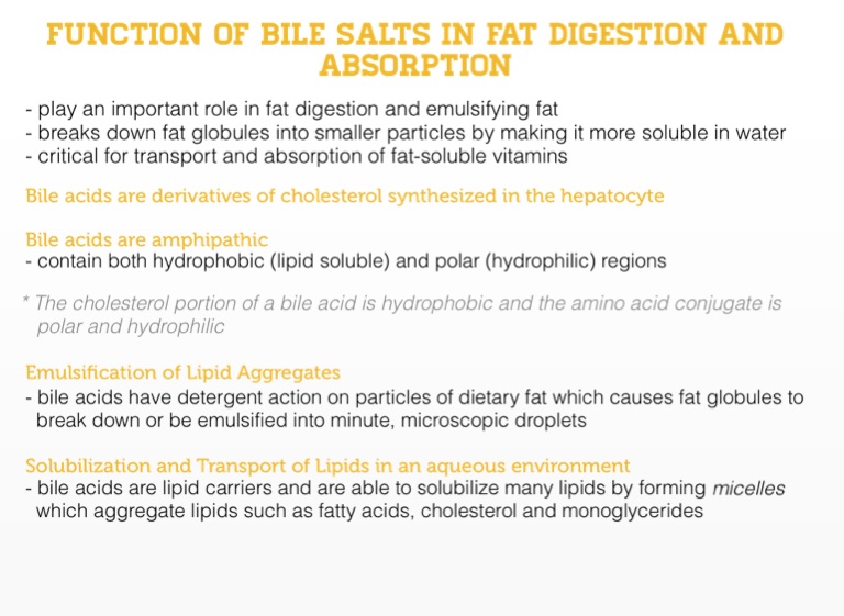 Diet Plan Post Gm Diet Diet plan post gm diet