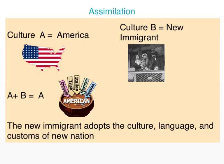 Assimilation, Acculturation, Multiculturalism - Screen 4 On FlowVella ...