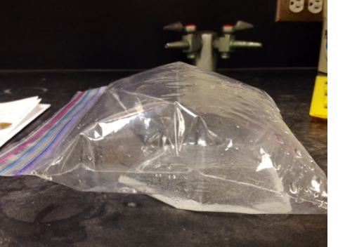 Ziplock Bag Filled With Air That I Breathed Into It