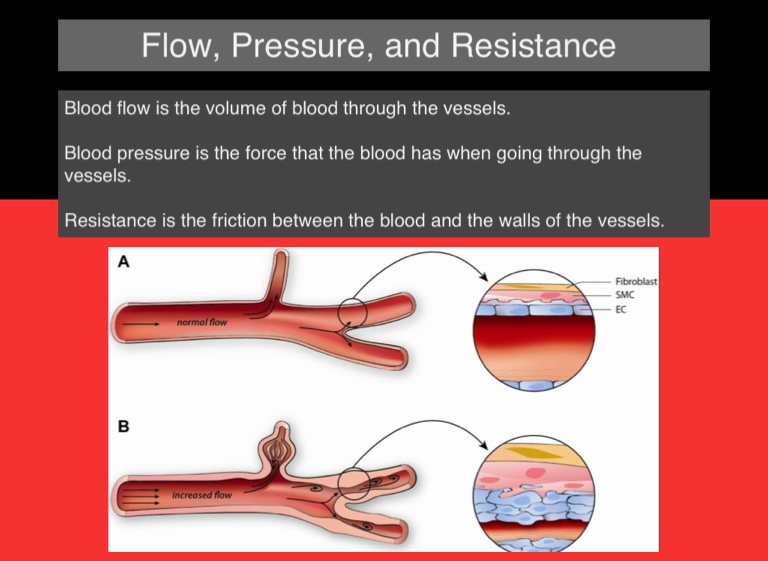 Blood Flow, Blood Pressure, and Resistance