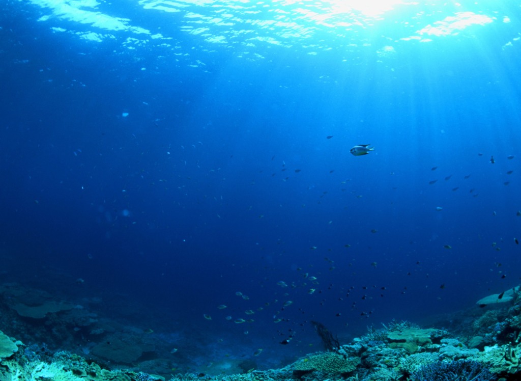 continental shelf underwater