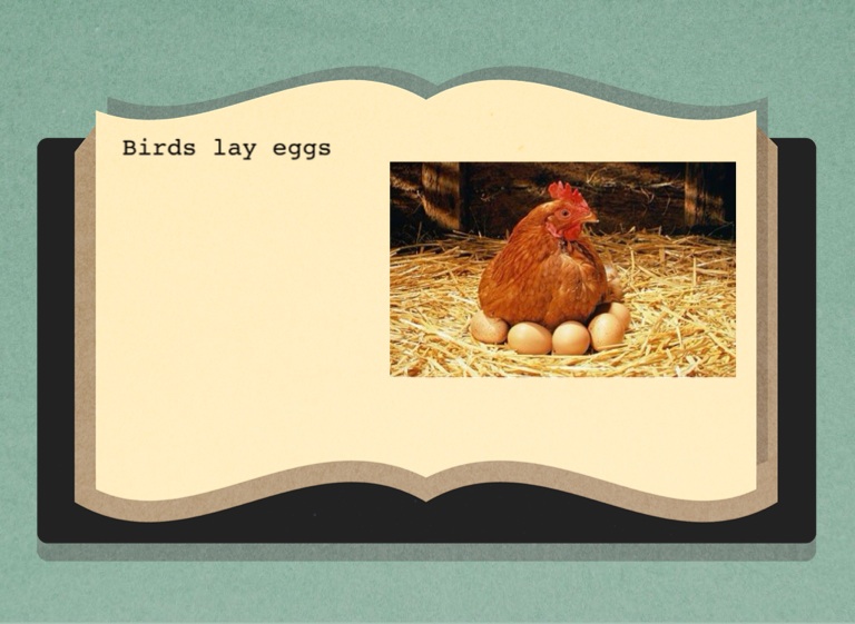 Anish Shenoy Screen 3 on FlowVella Presentation Software for Mac