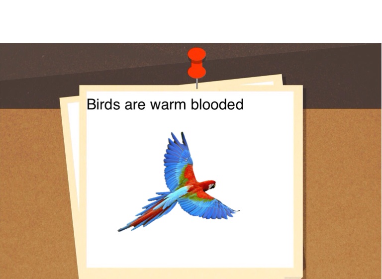 Anish Shenoy Screen 5 on FlowVella Presentation Software for Mac