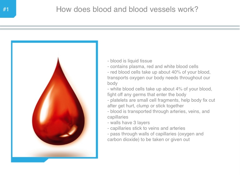 Science Chapter 3- Human Body By: Elizabeth #26 - Screen 18 on ...