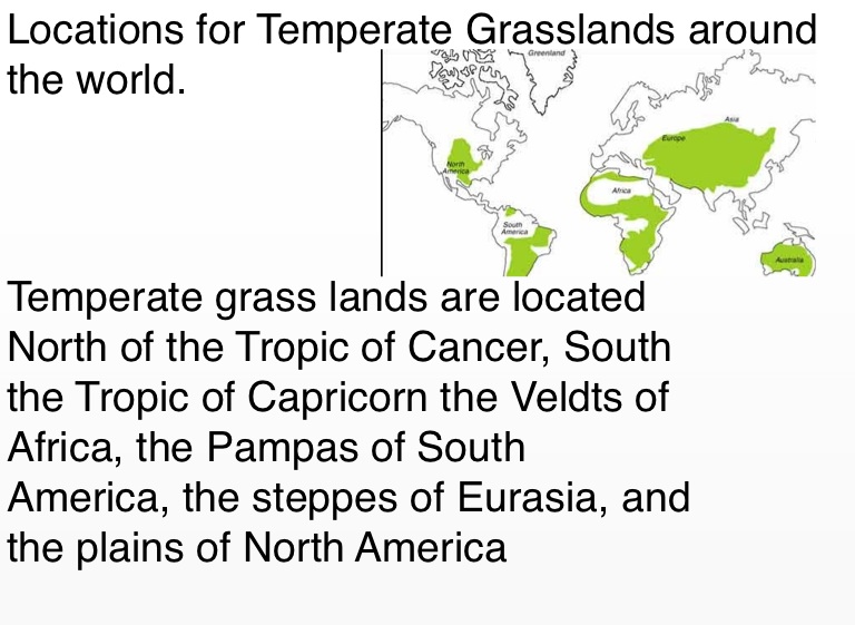 Temperate Grasslands - Screen 2 On Flowvella - Presentation Software 