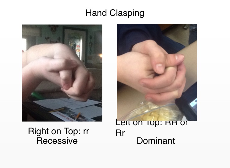 Hand clasping dominant or recessive