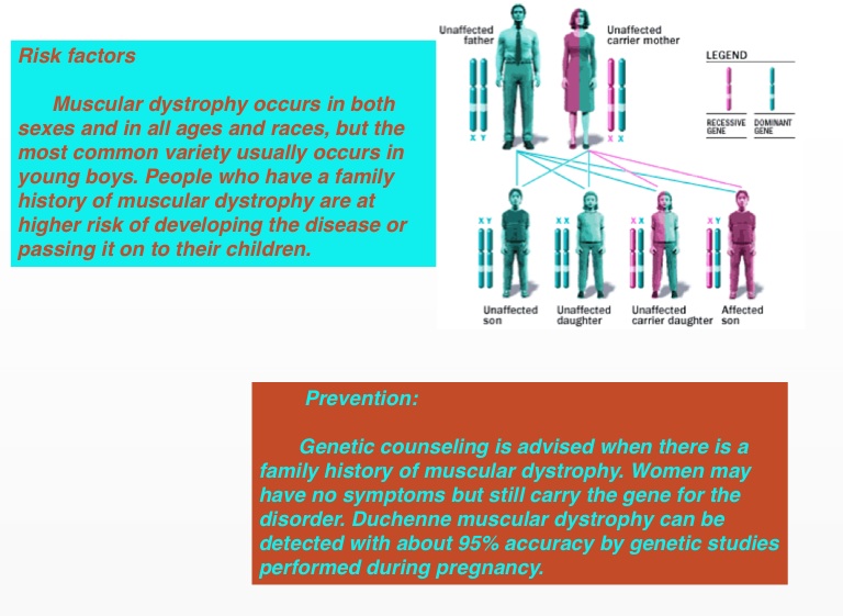 Muscular Dystrophy Screen 6 On Flowvella Presentation Software For Mac Ipad And Iphone 5900