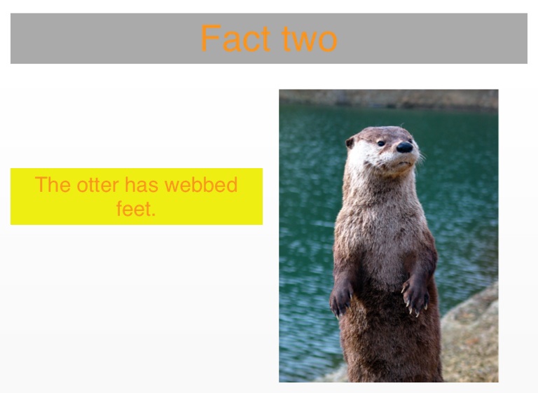 otter speech recognition