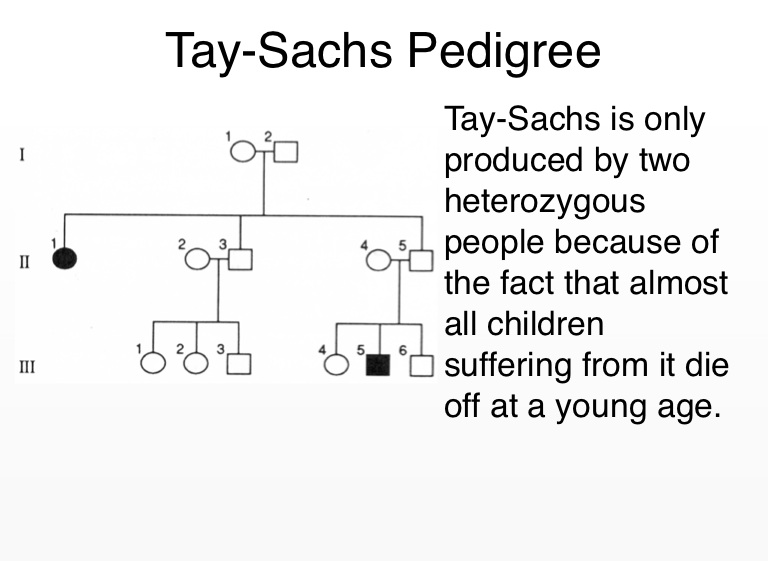 Tay-Sachs disease - Screen 4 on FlowVella - Presentation Software for