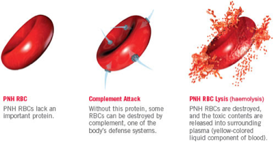 the life of a red blood cell - Screen 8 on FlowVella - Presentation