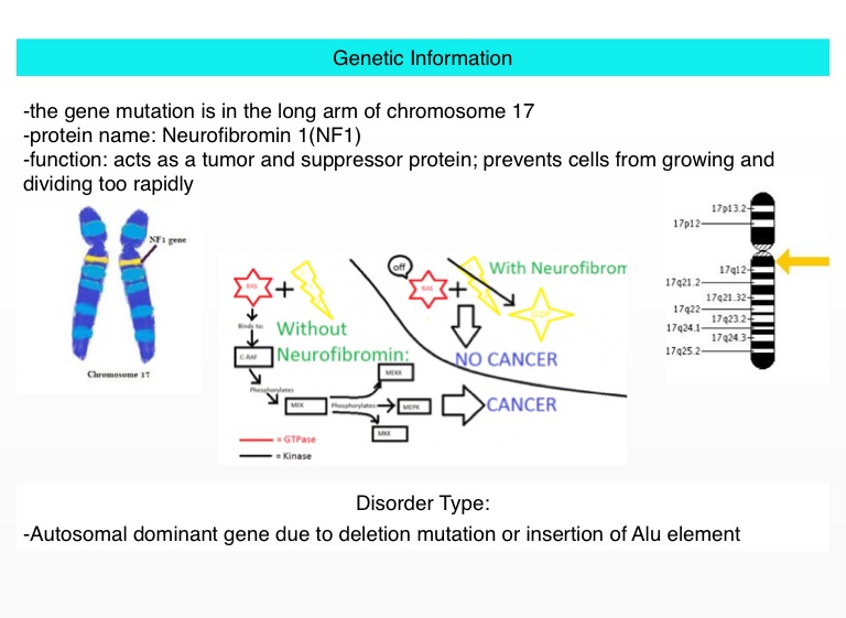 Neurofibromatosis Type 1 - Screen 3 on FlowVella - Presentation