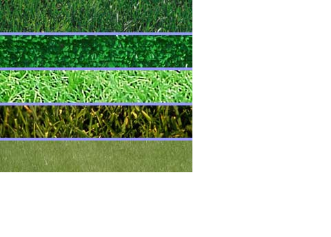 best landscaping software 2016 windows best landscaping software 2016 windows
