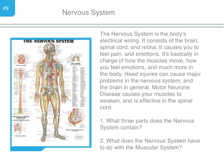 Human Systems - Screen 10 on FlowVella - Presentation Software for Mac