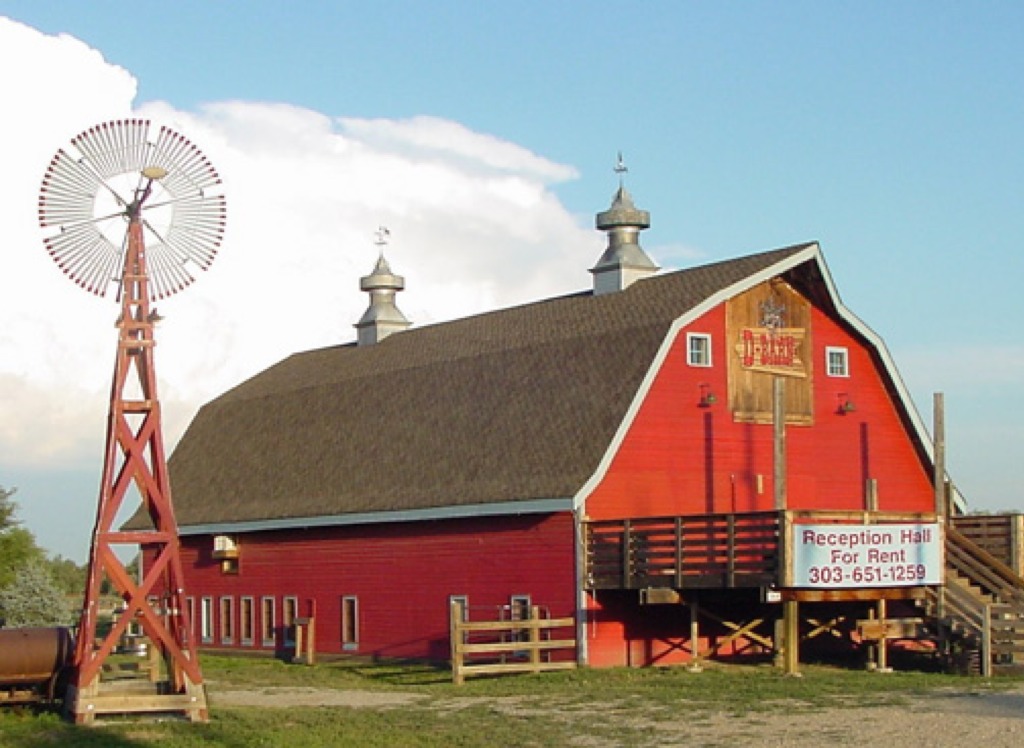 farm barn and animals