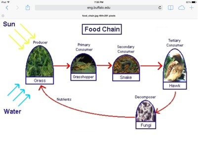 Sci vocab - Screen 19 on FlowVella - Presentation Software for Mac iPad ...