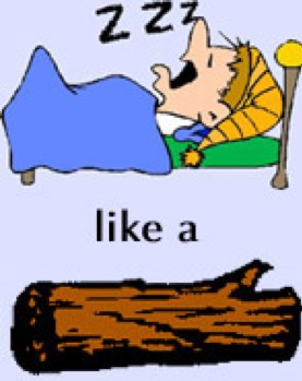 Log meaning. Sleep like a log. Sleep like a log идиома. Get to Sleep идиома?. Sleepy like a log.