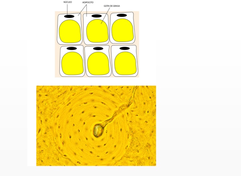 3 flowvella for android 3 flowvella for android