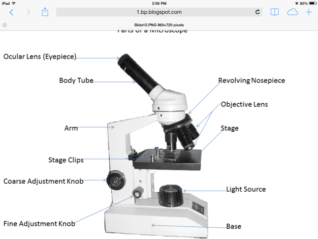 Microscope Parts Body Tube - Micropedia