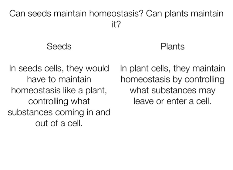 Seeds vs Plants Twyla - Screen 7 on FlowVella - Presentation Software ...