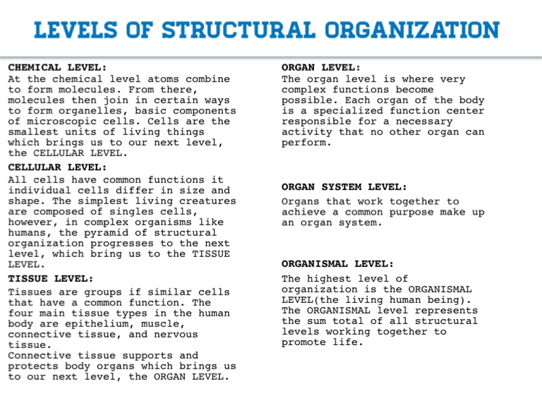 Reproductive system worksheet pdf image