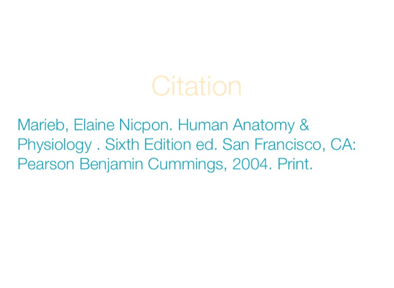 Summer Work Anatomy and Phsyiology 201415 Screen 48 on