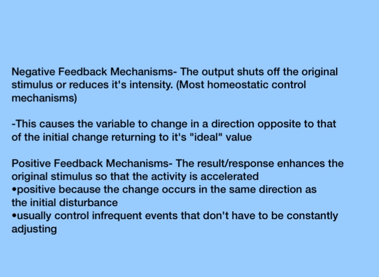 Human Anatomy & Physiology - Screen 9 on FlowVella - Presentation