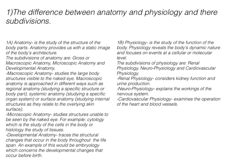 Human Anatomy And Physiology - Screen 3 on FlowVella - Presentation