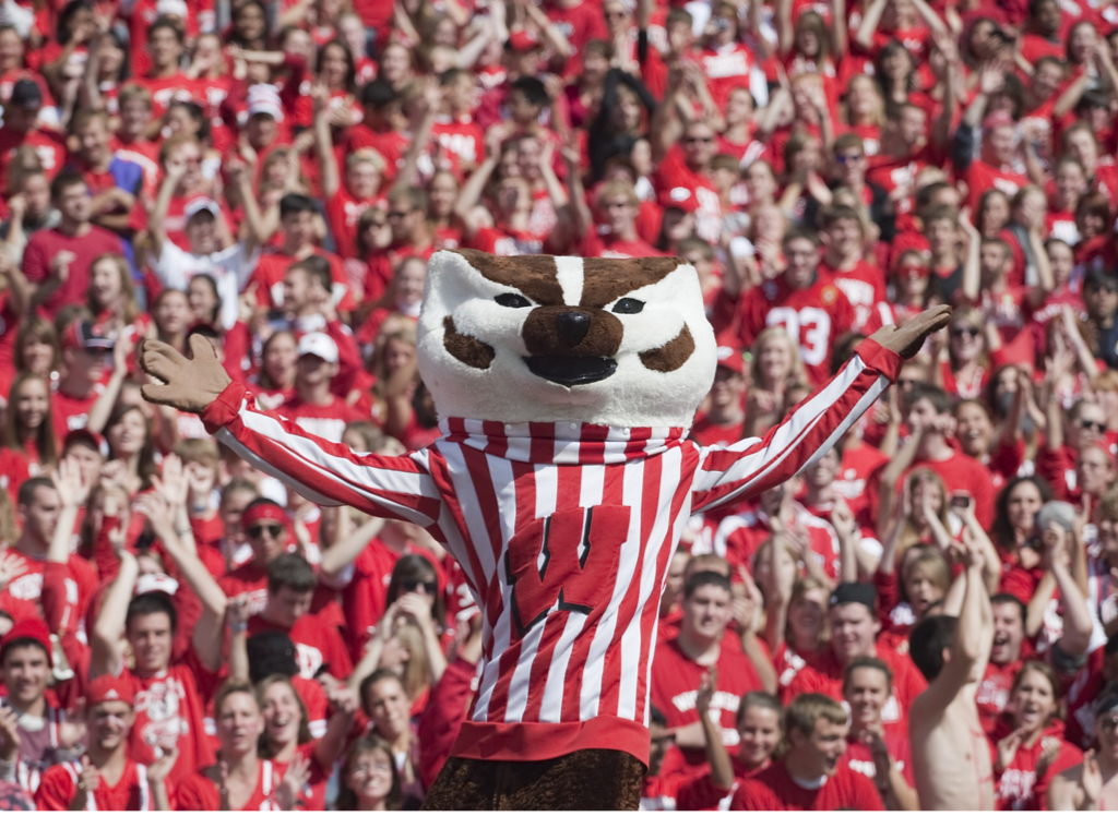 bucky badger pillow pet