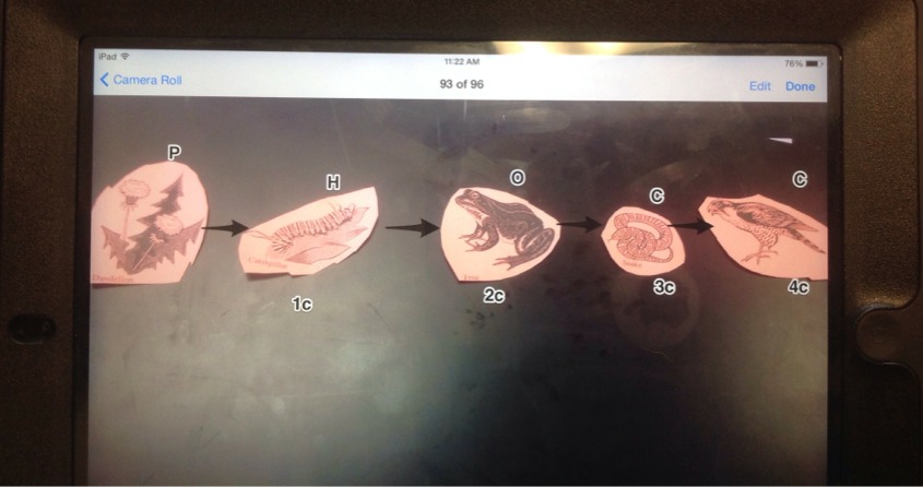 Untitled on FlowVella - Presentation Software for Mac iPad and iPhone